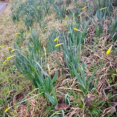 23-03-12 14-12-45 4788